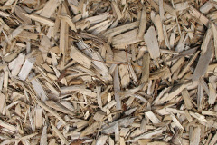 biomass boilers Llanon